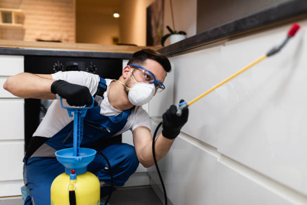 Best Mosquito Control Services  in Pajaro, CA