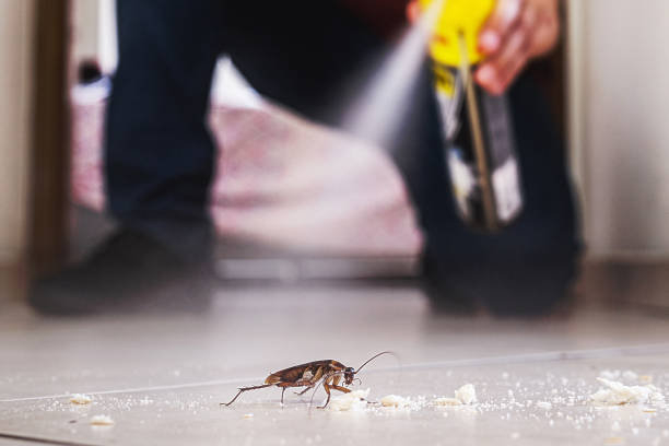 Best Commercial Pest Control Services  in Pajaro, CA