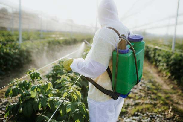 Best Local Pest Control Services  in Pajaro, CA